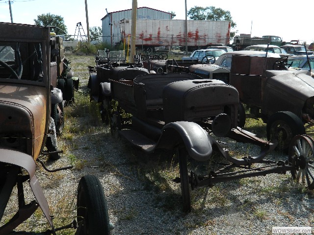 View of Model T's